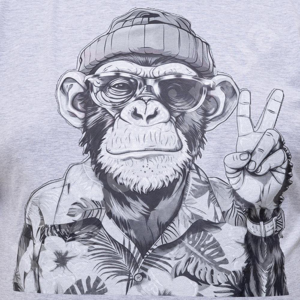 Футболка серого цвета с принтом