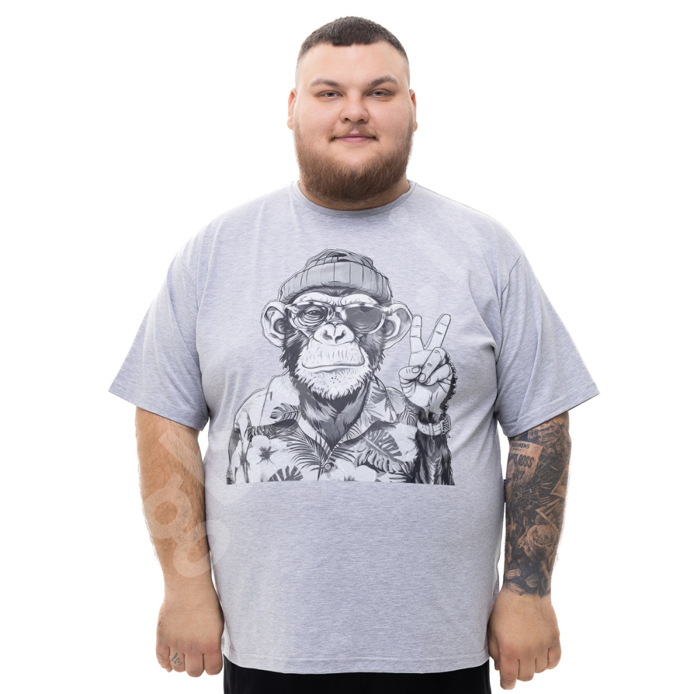 Футболка серого цвета с принтом