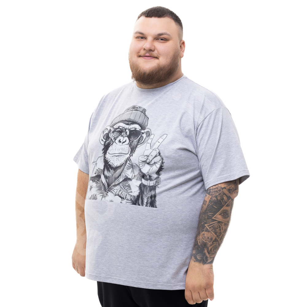 Футболка серого цвета с принтом