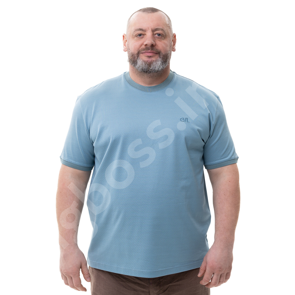 Футболка (ткань Мерсериза) голубого цвета La Vita 0