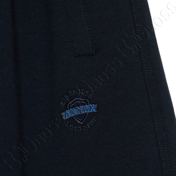 Трикотажные спортивные штаны тёмно синего цвета Annex 2