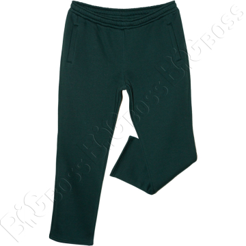 Тёплые (зимние) спортивные штаны тёмно зелёного цвета Big Team