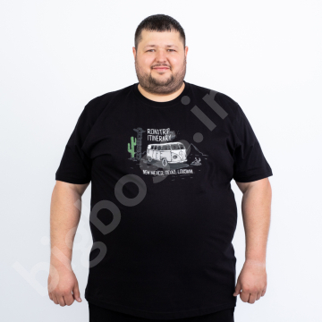 ׸