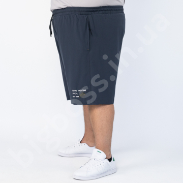  Ͳ ( ) Ѳ  Polo Pepe 1