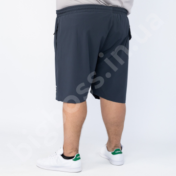  Ͳ ( ) Ѳ  Polo Pepe 2