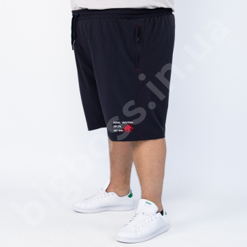  Ͳ ( ) -  Polo Pepe 1
