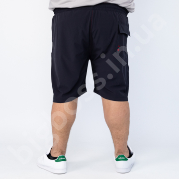 Ͳ ( ) -  Polo Pepe 3