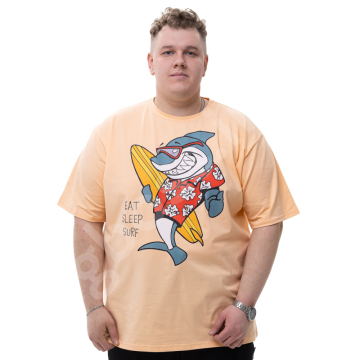 �������� � ������� 