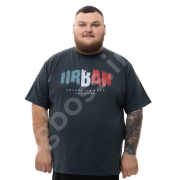 ���� �������