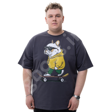 �������� ������ ����� � ������� 