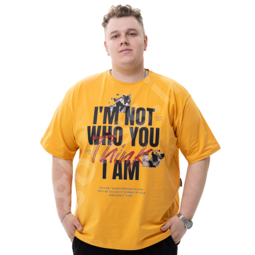 �������� ��������� ������� � ������� BIG TEAM