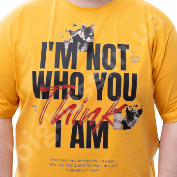 �������� ��������� ������� � ������� BIG TEAM 3