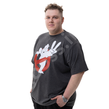 �������� ������� �������� � ������� 