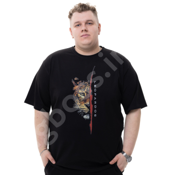 �������� � ������� 