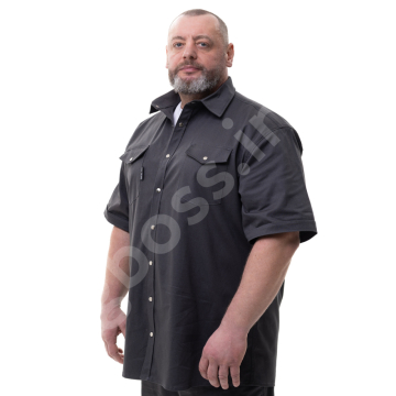 �������� ������� �������� ����� �� ������� BIG TEAM 1