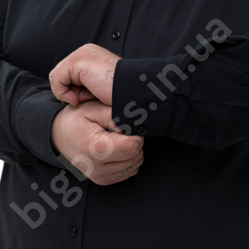 ������ ������� ������� ������� La Vita 4