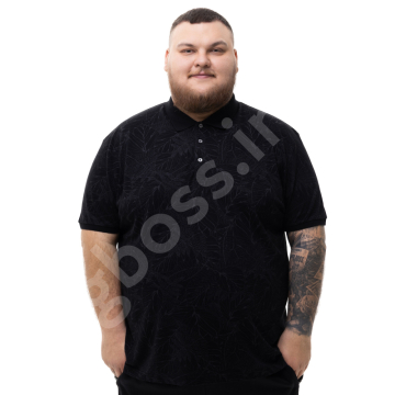 ���� ������� � ���� ������� ����� La Vita