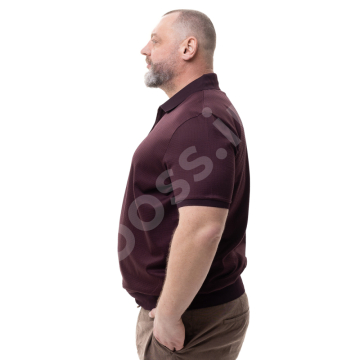 ���� �� ������� (����� ���������) ��������� ����� La Vita 3