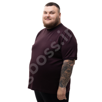 �������� (����� ���������) ��������� ����� La Vita 2