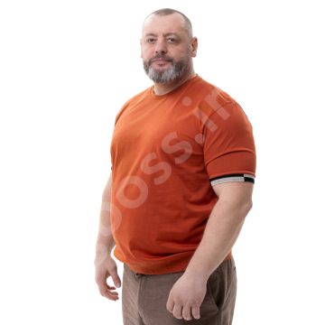 �������� �� ������� ������������� ����� La Vita 1