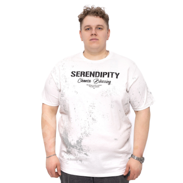 ���� �����