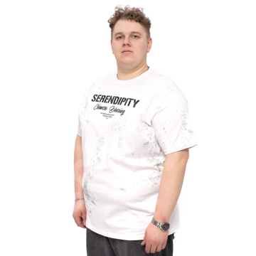 �������� ������ ����� (100% ������) Annex 1