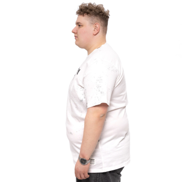 �������� ������ ����� (100% ������) Annex 2