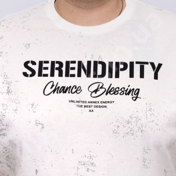 �������� ������ ����� (100% ������) Annex 3