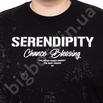 �������� ������� ����� (100% ������) Annex 3