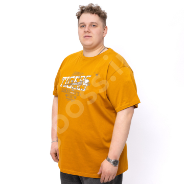 �������� ���������� ����� (100% ������) Armstrong 1