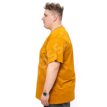 �������� ���������� ����� (100% ������) Armstrong 2