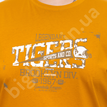 �������� ���������� ����� (100% ������) Armstrong 3