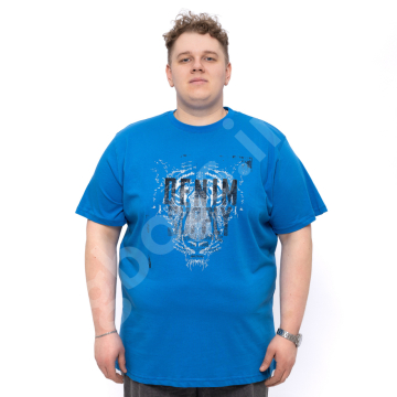 ���� ���������