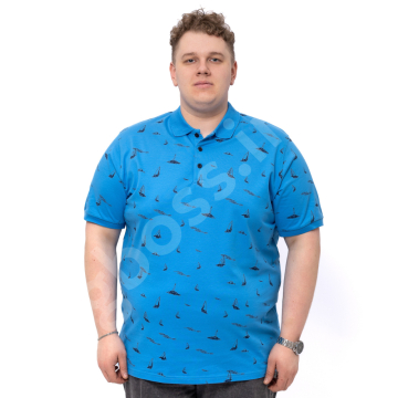 ���� ���������