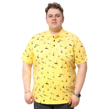 ���� ������