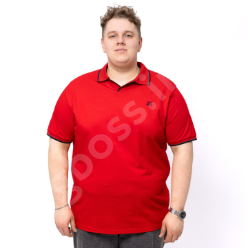 ���� ��������