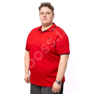 ���� ������� �������� ����� Annex 1