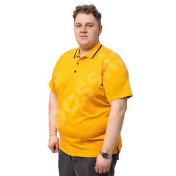 ���� ������ ����� � ���� Annex 1