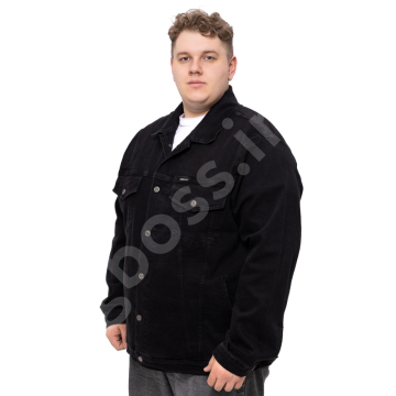 �������� ������ DEKONS 1