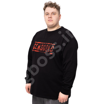 �������� � ������� ������� ������� ����� Big Team 1