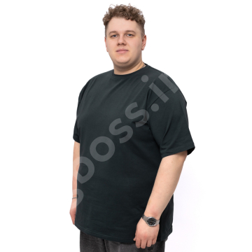 ������� �������� ����� ������� Big Team 1