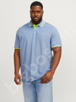 ���� �������