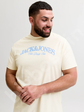 �������� �������� ����� Jack & Jones 1