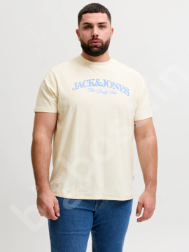 �������� �������� ����� Jack & Jones 5